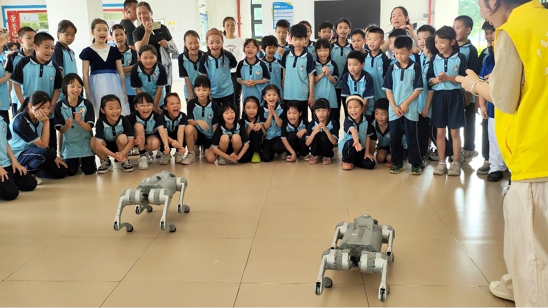 微信图片_20250525223424