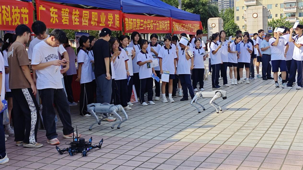 ef67cee8dfd7f5b6d6c6922c6270ce0